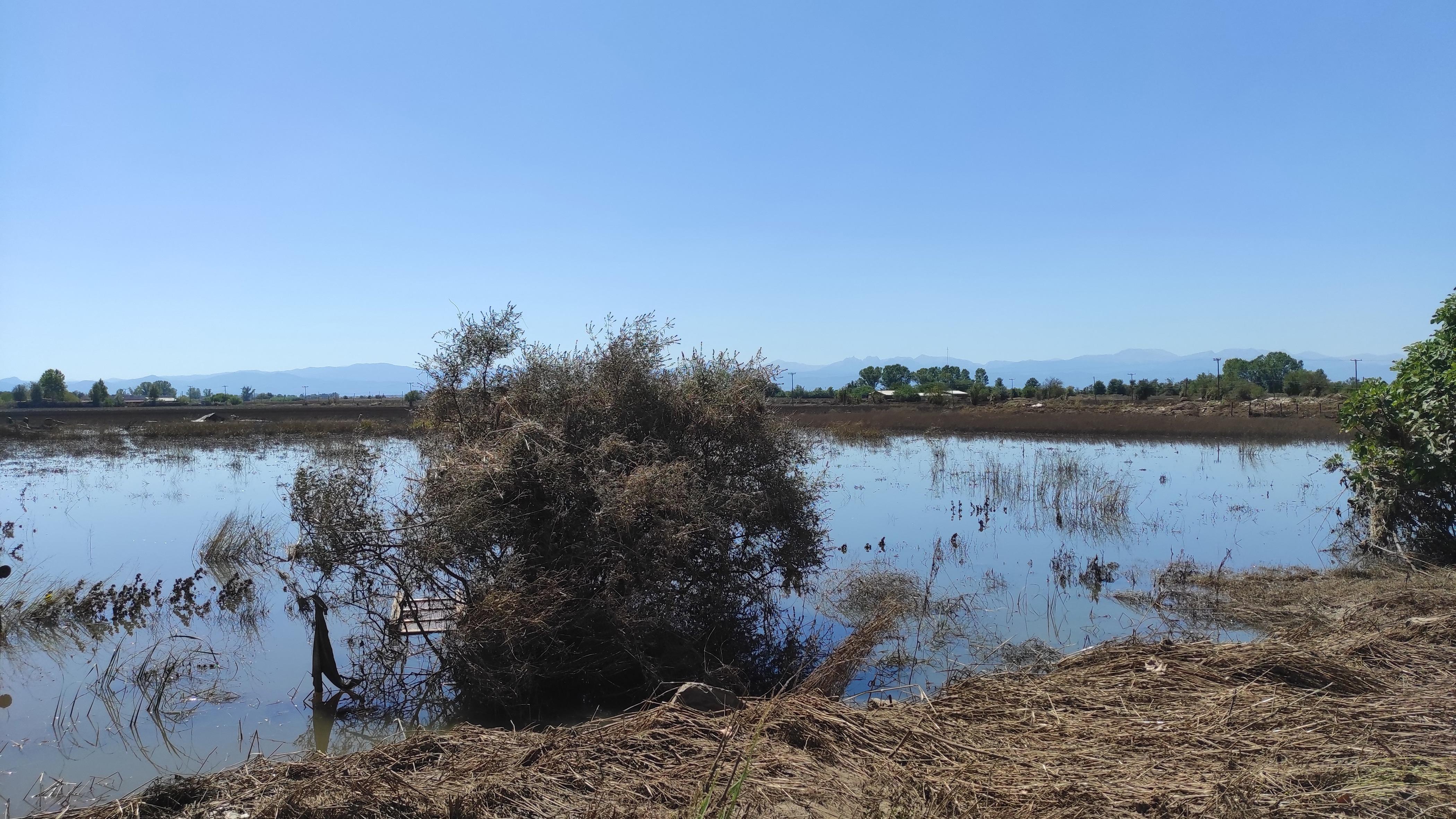 Γιατροί του Κόσμου Ελλάδας-MdM-Greece - THI: Three months of action in Thessaly